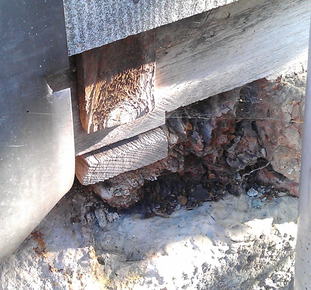 Eichenbalken – Sanierung von Holzbalken aus Eiche im Fachwerkhaus